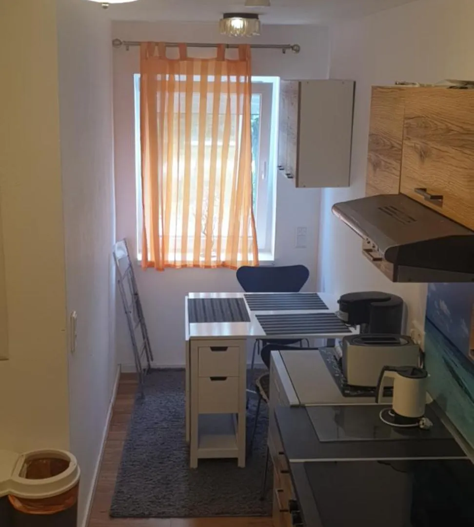 3 Seperate Apartments - 1,5 Room Apt - 2,5 Rooms Apt - 3,5 Rooms Apt Mit Sauna And Kamin München 0*,